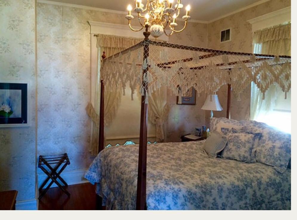 The Social House Inn Carmi Εξωτερικό φωτογραφία